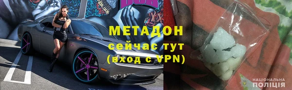 индика Арсеньев