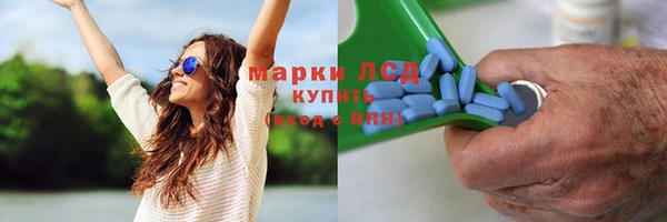 крисы Аркадак