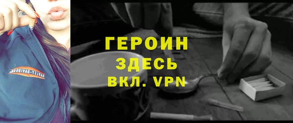 индика Арсеньев