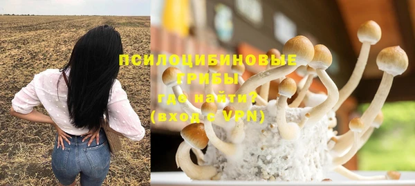 бошки Алзамай
