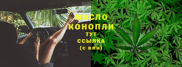 индика Арсеньев