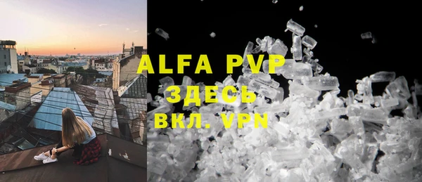 индика Арсеньев