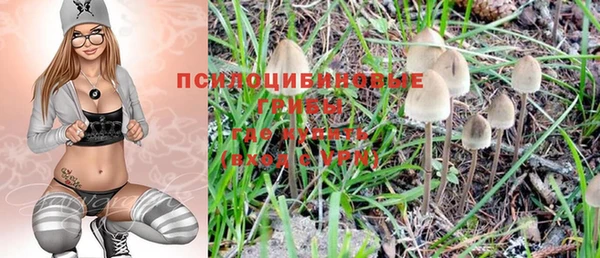ГАЛЛЮЦИНОГЕННЫЕ ГРИБЫ Армянск