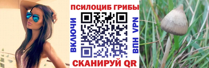 Галлюциногенные грибы Cubensis mega сайт Людиново сколько стоит
