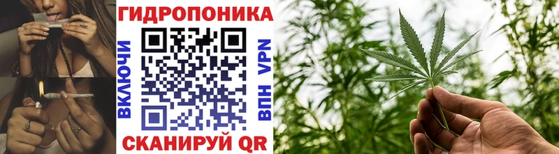 купить закладку  Людиново  Бошки Шишки планчик 